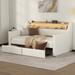 Twin Size PU Leather Upholstered Daybed with 2 Drawers and LED Lights