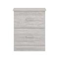 Wade Logan® Allyannah 2 Drawer Nightstand Set of 2 Wood in Gray | 23.6 H x 18.9 W x 15.7 D in | Wayfair 46959190900D4F0191825213FC3EA9B7