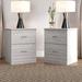 Wade Logan® Allyannah 2 Drawer Nightstand Set of 2 Wood in Gray | 23.6 H x 18.9 W x 15.7 D in | Wayfair 46959190900D4F0191825213FC3EA9B7