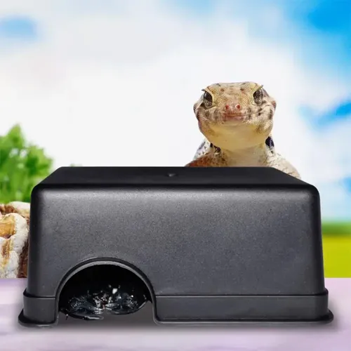 Kleine Terrarium Reptilien verstecken Box Reptilien Haustiere Spielzeug Gecko Schlange Shelter Haus
