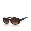 Coach Accessories | Coach 8168 (L156) 512013 56 Havana Brown Gradient Sunglasses | Color: Brown | Size: Os