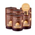 Forest Feast Gluten Free White Chocolate Hazelnuts | 6 x 100g Gifting Tubes | White Chocolate Covered Hazelnuts | Belgian Chocolate Gifts