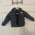 The North Face Jackets & Coats | 3-6 Months The North Face Thermoball Eco Hooded Jacket | Color: Gray | Size: 3-6mb