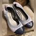 Coach Shoes | Gorgeous Coach Ballet Flats! | Color: Blue/Purple | Size: 8