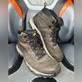 Columbia Shoes | Columbia Men’s Newton Ridge Plus Ii Suede Waterproof Hiking Boots Size 12-Brown | Color: Brown | Size: 12