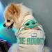 Disney Dog | Host Pick Rare Disney Tails Star Wars Spirit Jersey Tshirt Tee Cream | Color: Cream/Green | Size: Medium