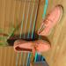 J. Crew Shoes | Euc J. Crew Boat Shoes 8.5 Pink Leather Gorgeous Preppy! | Color: Pink/White | Size: 8.5