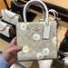 Coach Bags | Coach Mini Cally Crossbody In Signature Canvas With Daisy Print | Color: Cream/White | Size: Os