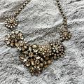 J. Crew Jewelry | J Crew Flower Lattice Crystal Statement Necklace | Color: Gold/Silver | Size: Os