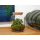 Ready-made terrarium H: 22 cm (3.5litres) | Arrives Fully Assembled | Closed Terrarium | Plant Lover Gift | Flower Arrangements