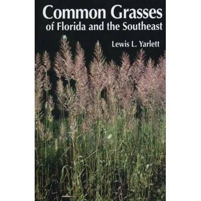 Common Grasses Of Florida & The Southeast