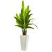 HomeStock Rococo Radiance 69In. Travelers Palm Artificial Tree In White Tower Planter