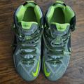 Nike Shoes | Nike Lebron 12 Dunkman 2014 Sz 9.5 Men’s | Color: Gray/Green | Size: 9.5