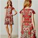 Anthropologie Dresses | Anthropologie Baraschi Embroidered Lace Red Black Cream Dress Size 2 | Color: Black/Red | Size: 2