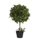 Blooming Artificial 2.2Ft / 70Cm Green Artifical Bay Bush Ball - Bay Fake Topiary Tree - Pack Of 1
