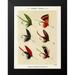 Marbury Mary Orvis 19x24 Black Modern Framed Museum Art Print Titled - Lake Fishing Flies IV from Favorite Flies and Their Histories