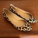 J. Crew Shoes | J. Crew Leopard Print Shoe Low Heel Size 8 | Color: Brown/Tan | Size: 8