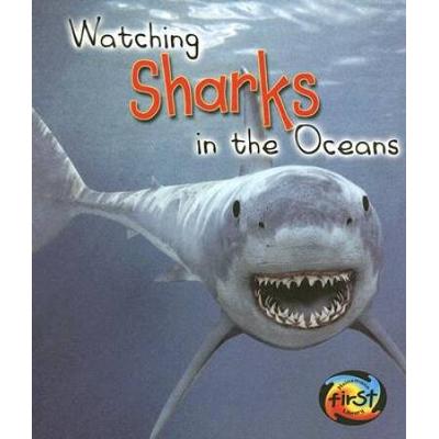 Watching Sharks in the Ocean (Wild World)