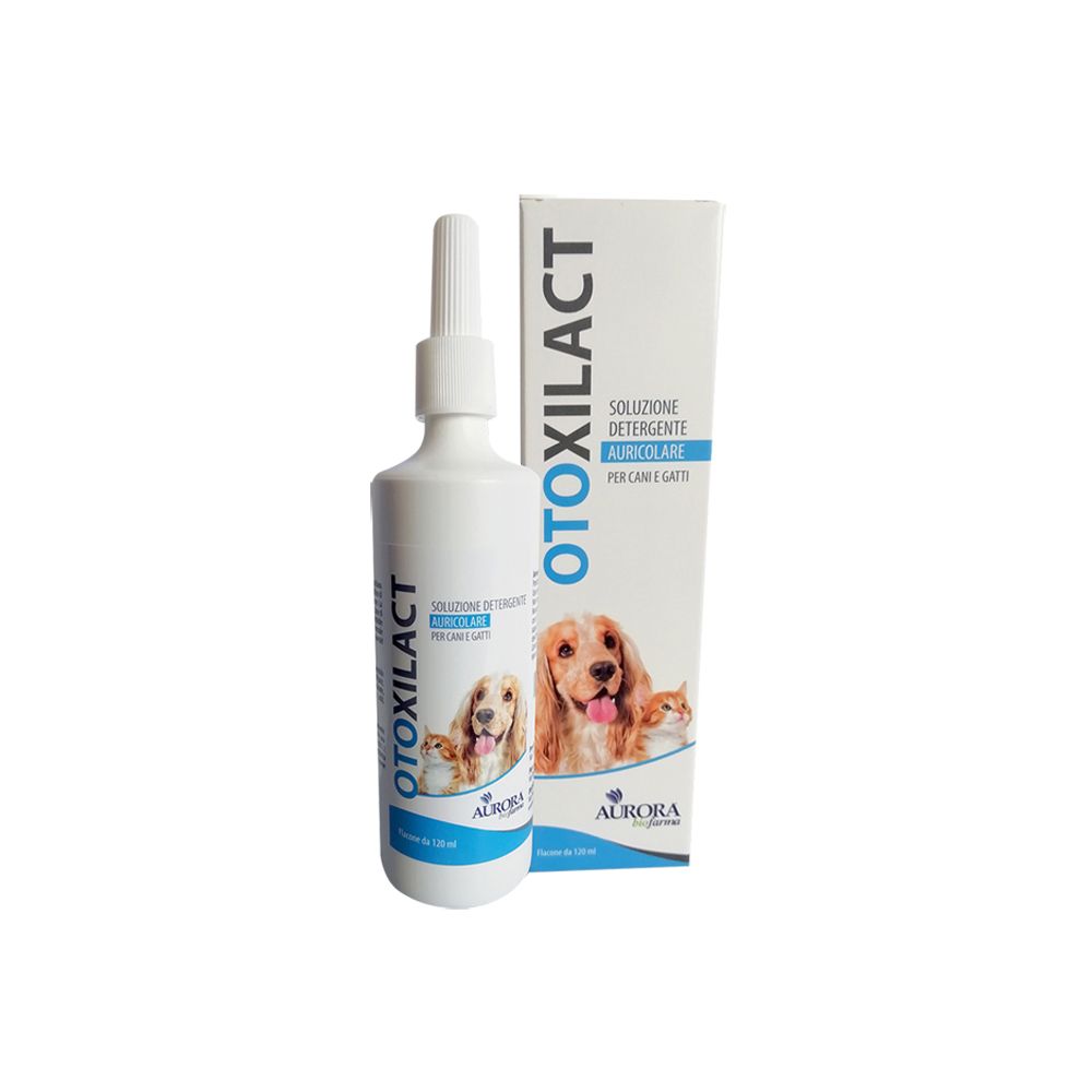 Otoxilact Detergente Auricolare 1 St