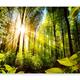 murando Photo Wallpaper Landscape 250x175 cm Non-Woven Premium Art Print Fleece Wall Mural Decoration Poster Picture Design Modern Forest green b-B-0248-a-a