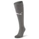 PUMA Team Liga Men's Football Socks