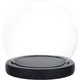 Vitrine Décorative en Verre Everche avec Socle en Bois Noir Coffret Globe breton