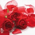 20 Servietten Papier 33x33cm 3-lagig - hochwertige Einweg Papierservietten Hochzeitsservietten Motivservietten rote Rosen mit Herz Blumenmotiv Liebe