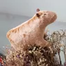 18cm Capybara Plüsch Simulation Capibara Anime Fluffty Spielzeug Stofftiere weiche Puppe Kinder