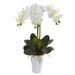 24" Phalaenopsis Orchid Artificial Arrangement in White Vase