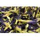Butterfly Flowers 250g 1kg - Clitoria Ternatea - Arts Crafts Decor Bath Bomb Soap Candle Resin Jewellery - Klitoria - UK Stock
