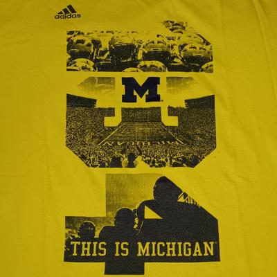 Adidas Shirts | 2013 Adidas Michigan Wolverines Football Shirt U Of M Vintage Tee | Color: Blue/Yellow | Size: L