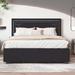 Ivy Bronx Kathlynn Queen Storage Standard Bed Wood & /Upholstered/Velvet in Black | 47 H x 64 W x 86 D in | Wayfair