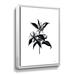 Winston Porter Inked Blossoms II On Canvas by House Fenway Print Canvas, Glass in White | 18 H x 24 W x 2 D in | Wayfair