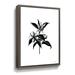 Winston Porter Inked Blossoms II On Canvas by House Fenway Print Metal in White | 24 H x 32 W x 2 D in | Wayfair 805E23DB545E41C3B76D146A48F0B259