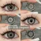 EYESHARE 2 pièces lentilles de myopie lentilles de contact colorées lentilles grises avec Prescription lentille de mode lentille yeux bruns avec degré