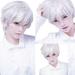 NRUDPQV wigs human hair hair wigs Boy Guy Party Short Adult Men for Carnivals Wig Perfect Short Band Wig White wig White