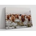 Herd Highland Cows 1 Brown Grey Canvas Wall Art Picture Print - 47 inch wide x 32 inch high (Frame Depth 30mm)
