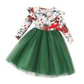 TOWED22 Toddler Baby Girls Winter Dress Toddler Baby Girls Long Sleeve Floral Prints Lace Dress Dress Dance Party Dresses(Green 3-4 Y)