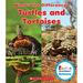 Pre-Owned Turtles and Tortoises 9780531214824 Used