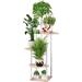 Plant Stand 5 Tier Indoor Metal Trellis, Garden Tall Trellis