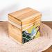 Majestic Secrets,'Handmade Hummingbird Mosaic Decorative Box in Vibrant Hues'