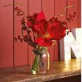 bloom Artificial Amaryllis and Berry Arrangement – 30cm Fake Flower Centrepiece, Faux Silk Flowers That Look Real, Perfect for Mothers Day, Artificial Foliage, Home Decor, Vase Included