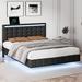 Ivy Bronx Kaspars Modern Upholstered Platform LED Bed Frame Metal in Black | 43 H x 57.6 W x 78 D in | Wayfair 14F2505B31AA426FADD59951F4190638