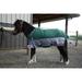 TuffRider Mini 1200D Ripstop Medium Weight 200gms Two Tone Turnout Blanket With Standard Neck- Hunter Green/ Grey Bottom & Trim - 52