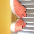 Michael Kors Shoes | Michael Kors Leather Slip On Size 8 | Color: Orange | Size: 8
