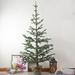 Northlight Seasonal Green Ponderosa Pine Artificial Christmas Tree w/ Jute Base- Unlit in Brown | 38 W x 7 D in | Wayfair NORTHLIGHT HN91124