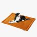 Tucker Murphy Pet™ Mckoy Soft Waterproof Dog Bed Mat/Pad Polyester in Orange | Large (40" W x 29" D x 1" H) | Wayfair