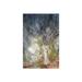 Red Barrel Studio® Nocturne On Plastic/Acrylic by Stephanie Law Painting in Gray/Green/Red | Wayfair A3958426B81F45F88C6F13579769B508