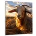 Gracie Oaks Goat Portrait Vibrant II - Animals Metal Wall Decor Metal in Brown | 20 H x 12 W x 1 D in | Wayfair C148F4C2DA02493F8FC84C54B2EECE93