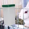 Pet Automatische Trinkbrunnen Kaninchen Hamster Wasser Dispenser Wasser Feeder Für Kleine Tier Kaninchen Hamster Meerschweinchen Eichhörnchen